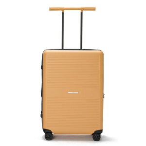 RAWROWbE[ X[cP[X R TRUNK LITE t@Xi[^Cv sڈF 6`7 72L g@\t TSAbN aꖳ }X^[h R-TRUNK-LITE-72L-MS [TSAbN]