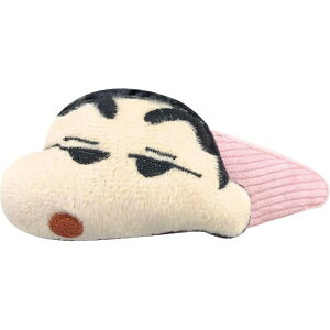 ACvjObAI PLANNING N񂿂 hfJpb` sN ACvjO K2955C