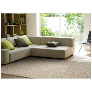 X~mGbSUMINOE O X~gj[cCXeB(200×200cm/x[W)yTCYI[_[\z