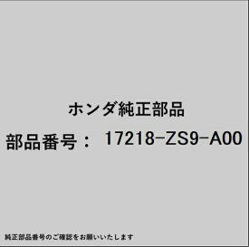 HONDA｜ホンダ ホンダ・honda純正部品 フィルター アウター用 17218-ZS9-A00