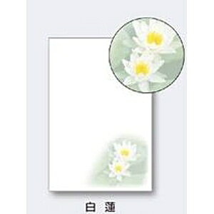 n[gbheart CNWFbgpr͂ X֔ԍg (100) @ XZ0037[XZ0037]