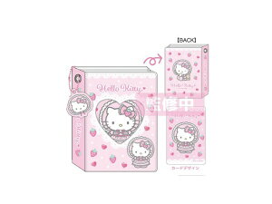 TCPbeB[V[s[ n[LeB RNg~jAo [^ (sN)