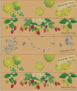 J~bKAMI SHOJI GAKazaru×Kraftyi`@180W5P