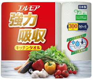 J~bKAMI SHOJI GA͋z^I6R@50Jbg