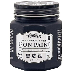 ^[i[FʁbTURNER COLOUR ACAyCg 200ml SubN IRK20020