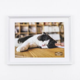 ナカバヤシ｜Nakabayashi 木製写真額　ホワイト