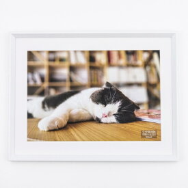 ナカバヤシ｜Nakabayashi 木製写真額　ホワイト