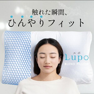 COCOCHIFACTORYbRR`t@Ng[ Lupo GꂽuԂЂtBbgn ⊴ | cocochi factory zCg DICF070090