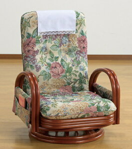 t@~[ECtbFamily-life VRكNCjOnCobN]֎q [^Cv TCh|Pbgt