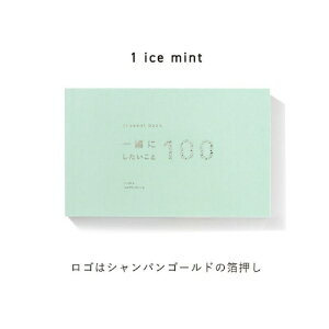 ����͏o�ŁbIROHA PUBLISHING �ꏏ�ɂ���������100 present book(�v���[���g�u�b�N) ice mint