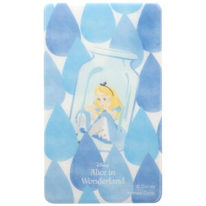 HAMEEbn~B fBYj[LN^[ [X}₦ Premium] \ĔX}[gtHpV[g AX 111-989722