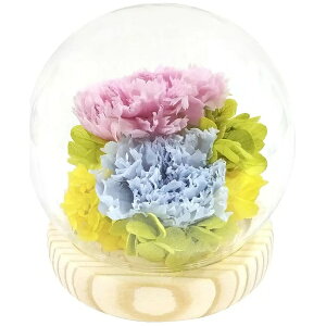 ���C���X�bTOKAI-SEIRO �X�t�B�A�h�[���A�����W�����g �D �s���N + �u���[ C37125 ���C���X C37125