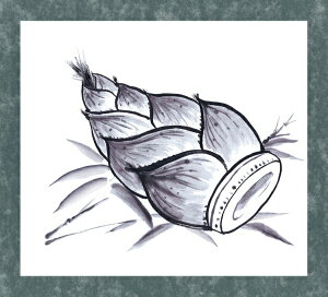 A[ebNbArtec nlZbg@W䎆t 12659