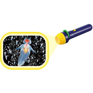 A[ebNbArtec ӂȐ[Ĉ̃vWFN^[ 21211