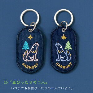 ����͏o�ŁbIROHA PUBLISHING PAIR KEY RING 2/8b(�c�[�C���G�C�g�r���I��) HARMONY GKBA-16 �y��������z���s�z