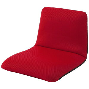 Z^bCellutane y֎q ay`FA STCY bVbh