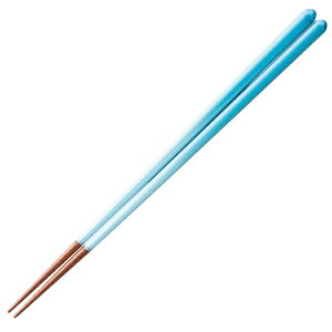CV_bISHIDA  23cm F ׂ~ ؐ 