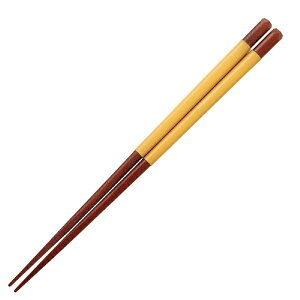 CV_bISHIDA  23cm VR ؐ VR  IW