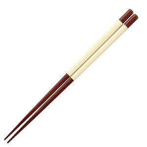 CV_bISHIDA  23cm VR ؐ VR  AC{[