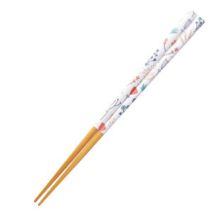 CV_bISHIDA  23cm KAKEHASHI NATURA t[Y p ؐ VR [X