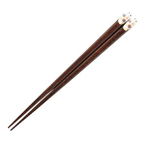 CV_bISHIDA  qp 18cm ق̂ڂ̃Lbg ؐ VR  T[N