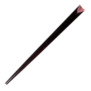 CV_bISHIDA  21cm v~AAC VvC Ji  ؐ VR 