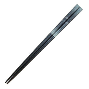 CV_bISHIDA  23cm a ԕ  ؐ 