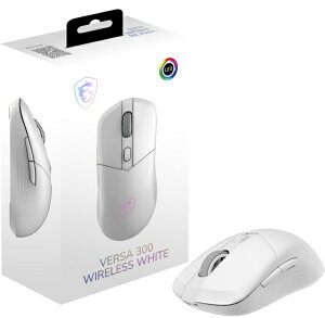 MSIbGGXAC Q[~O}EX VERSA 300 WIRELESS WHITE zCg VERSA 300 W WHITE [w /L^(CX) /6{^ /BluetoothEUSB]
