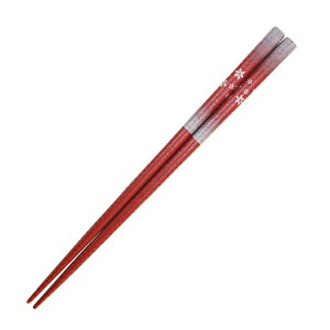 CV_bISHIDA  20.5cm a ԕ  ؐ 