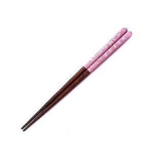 CV_bISHIDA  21cm t H@Ή ؐ