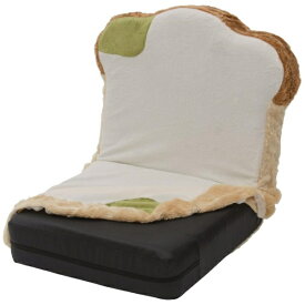 セルタン｜Cellutane カバーが洗える カビパン座椅子 低反発 カビ