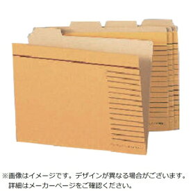 ライオン事務器｜LION ライオン カットフォルダーB5-4F-R-20P 【メーカー直送・代金引換不可・時間指定・返品不可】