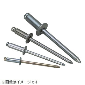 ロブテックス｜Lobtex ブラインドリベットエコBOX（300本入）　ステンレス/スティール　5-4　NSS54EB《※画像はイメージです。実際の商品とは異なります》
