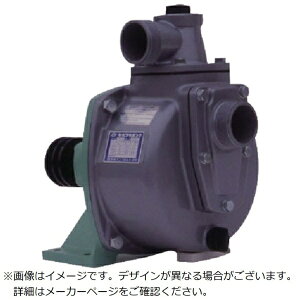 c|v쏊bTERADA PUMP TERADA Vxg쓮|v y[J[EsEԎwEԕisz