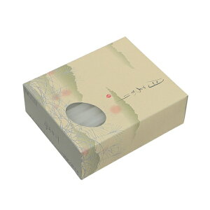 CXbTOKAI-SEIRO 낤 ꎞ CXC 131-06