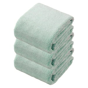 CB JapanbV[r[Wp JRX@tFCX^I@3g@GR O[ 87151