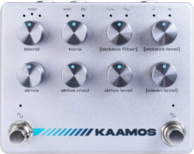 Darkglass Electronics｜ダークグラスエレクトロニクス エフェクター Kaamos