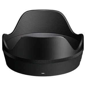 SIGMAbVO} Yt[h LH728-02