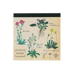 GreenFlashbO[tbV pbhEXNGA STUDY HOLIC(X^fBzbN) Aw ST-165