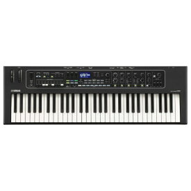 【エントリーで最大全額ポイント還元｜3/11まで】 YAMAHA｜ヤマハ ステージキーボード CK61 [61鍵盤]