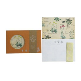 GreenFlash｜グリーンフラッシュ STUDYHOLIC レターセット 植物学 GreenFlash ST-263
