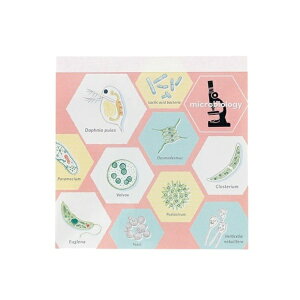 GreenFlashbO[tbV pbhEXNGA STUDY HOLIC(X^fBzbN) w ST-163