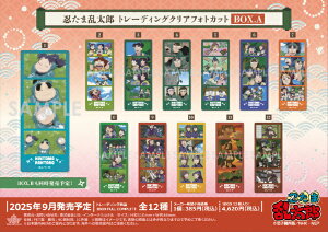 \C^[iVibSOL International EܗY g[fBONAtHgJbg BOX.A yzsz