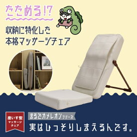DOSHISHA｜ドウシシャ カメレオンシリーズ　実はひっそりしまえるんです　TTM-2401IV アイボリー
