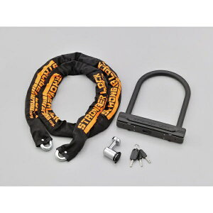 fCgibDAYTONA XgK[bNZbg `F[bN+UbN 220mm 31253