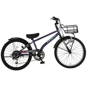 あさひ|asahi 20型 子供用自転車 ドライドBEAT BAA206-Q(外装6段変速) パープル 175001002【キャンセル・返品不可】 【代金引換配送不可】