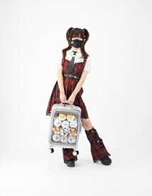 【2025年8月上旬】 金源リビング｜Kingen Living 推し活スーツケース 推しキャリ Sサイズ ホワイト KG040054AAA [TSAロック搭載]