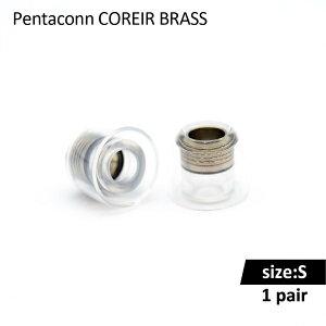 ���{�f�B�b�N�X�bNIPPON DICS �C���[�s�[�X S 1�y�A Pentaconn COREIR BRASS �u���b�N PTM01-S-1P