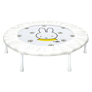 ACfXbides ~btB[ z[g|