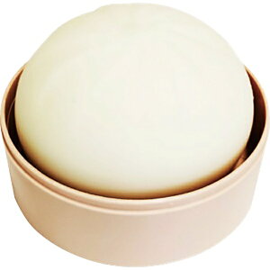 A[ebNbArtec ؂܂XNC[Y 21701